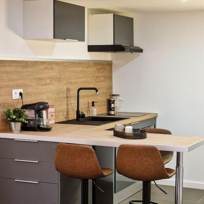 Grand Loft Avec Terrasse Privee Apartman Saint-Etienne  Kültér fotó